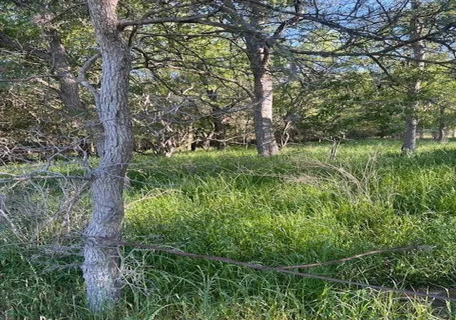 Photo 3 of Land for sale at Lot 768 Kaukonahua Ln, Bastrop, TX 78602 | MLS# 5772406 | Listing updated on 2026-08-17