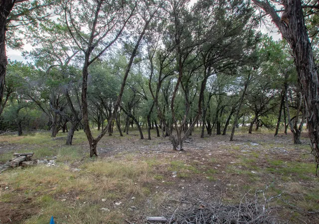 4th image of 17713 Maritime Point Dr, Jonestown, TX 78645 | MLS# 1158164