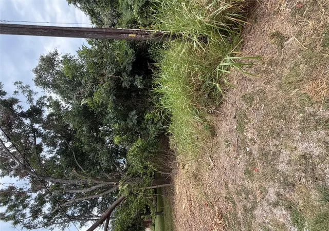 Photo 3 of Land for sale at 161 Kahana Ln, Bastrop, TX 78602 | MLS# 6646582 | Listing updated on 2026-08-17