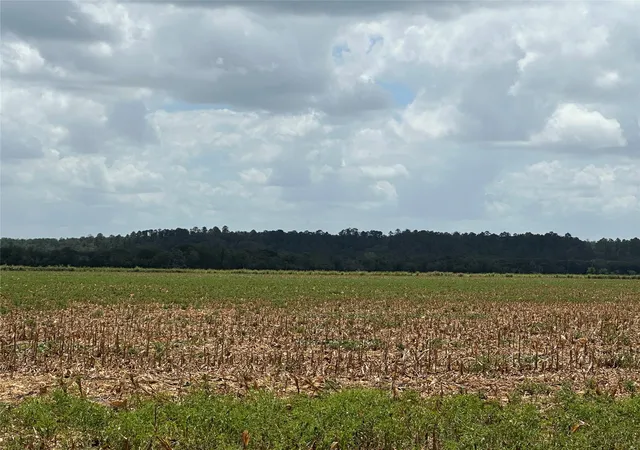 1st image of 0000 Rabbs Prairie Rd, La Grange, TX 78945 | MLS# 1988711