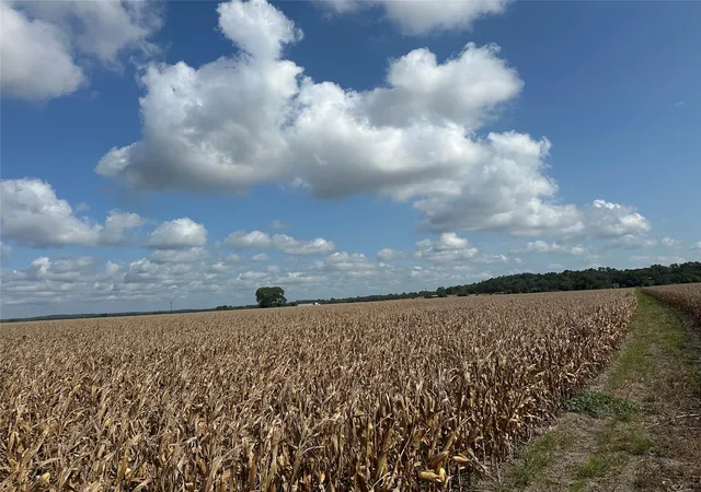 2nd image of 0000 Rabbs Prairie Rd, La Grange, TX 78945 | MLS# 1988711