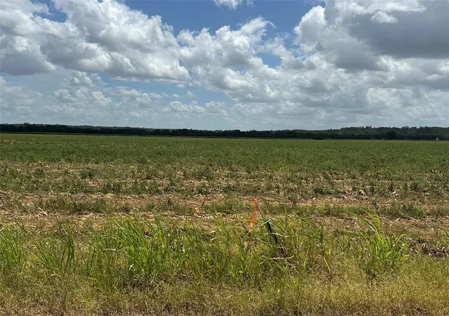 Photo 3 of Land for sale at 0000 Rabbs Prairie Rd, La Grange, TX 78945 | MLS# 1988711 | Listing updated on 2026-08-18