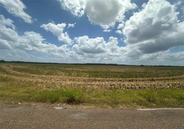 Photo 4 of Land for sale at 0000 Rabbs Prairie Rd, La Grange, TX 78945 | MLS# 1988711 | Listing updated on 2026-08-18