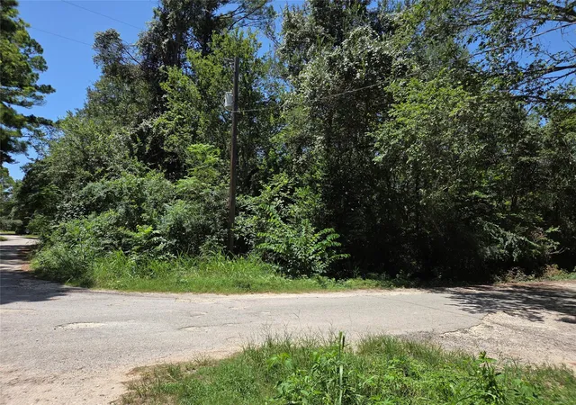 Photo 2 of Sale Pending at Tbd Nancy / Davis St, Bastrop, TX 78602 | MLS# 4704413 | Listing updated on 2026-08-25