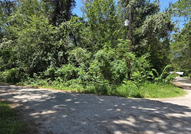 Photo 3 of Sale Pending at Tbd Nancy / Davis St, Bastrop, TX 78602 | MLS# 4704413 | Listing updated on 2026-08-25