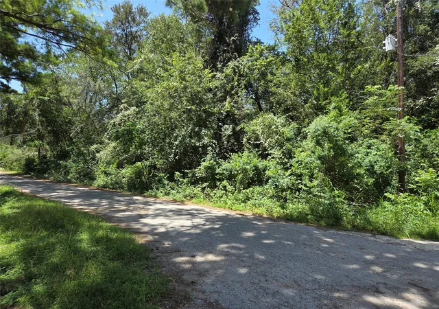 Photo 3 of Sale Pending at Tbd Nancy / Davis St, Bastrop, TX 78602 | MLS# 4704413 | Listing updated on 2026-08-25