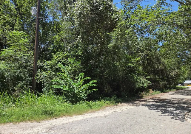 Photo 4 of Sale Pending at Tbd Nancy / Davis St, Bastrop, TX 78602 | MLS# 4704413 | Listing updated on 2026-08-25