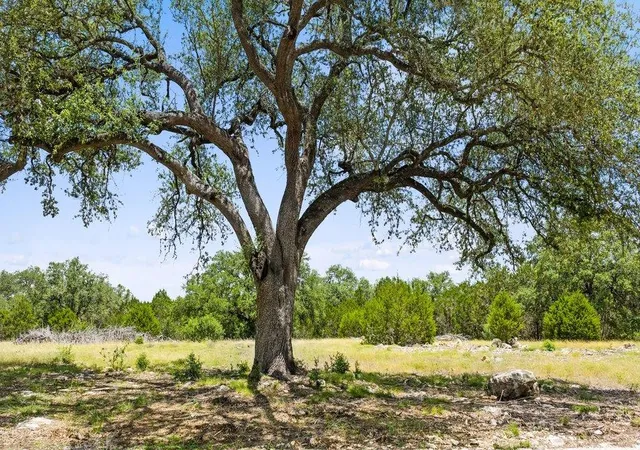 1st image of Tract 5 Cypress Cove Rd, Spring Branch, TX 78070 | MLS# 5077638