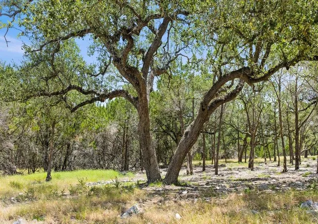 3rd image of Tract 5 Cypress Cove Rd, Spring Branch, TX 78070 | MLS# 5077638