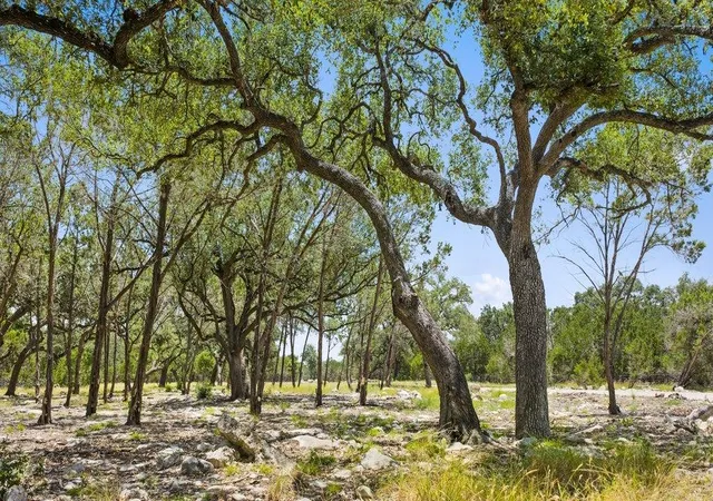 4th image of Tract 5 Cypress Cove Rd, Spring Branch, TX 78070 | MLS# 5077638