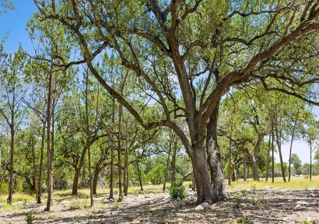 5th image of Tract 5 Cypress Cove Rd, Spring Branch, TX 78070 | MLS# 5077638