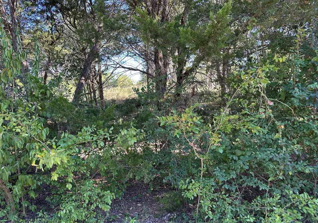Photo 1 of Land for sale at Lot 9 Robin Run, Bastrop, TX 78602 | MLS# 6765429 | Listing updated on 2026-08-19