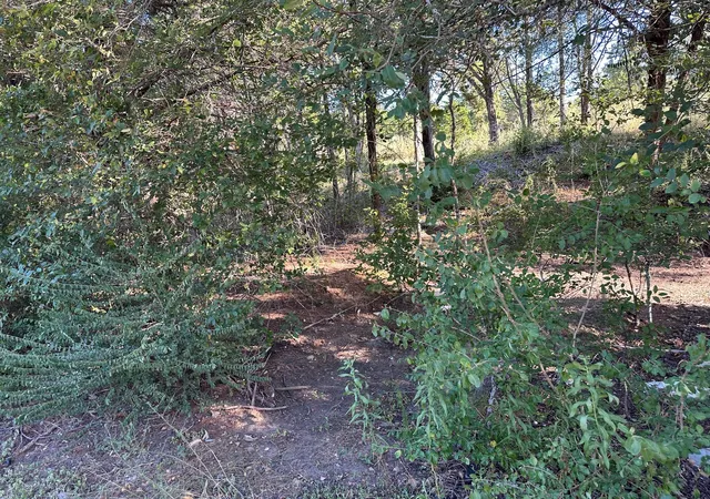 Photo 3 of Land for sale at Lot 9 Robin Run, Bastrop, TX 78602 | MLS# 6765429 | Listing updated on 2026-08-19