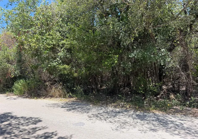 5th image of 0000 Great Eagle Trl, Austin, TX 78734 | MLS# 4398601