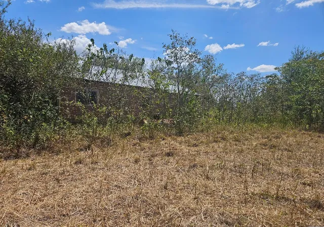 11th image of 358 S Hwy 95 S, Elgin, TX 78621 | MLS# 7179133