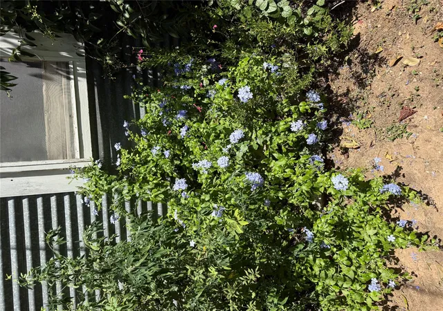 20th image of 1132 Thiele Ln, Fredericksburg, TX 78624 | MLS# 2371933