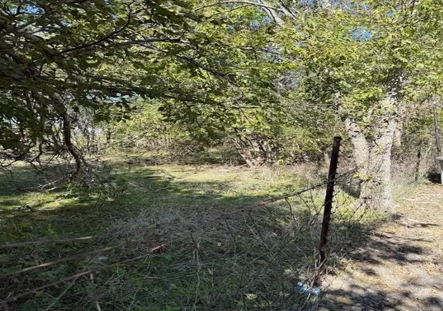 Photo 3 of Land for sale at 800 Arnold Dr, Bartlett, TX 76511 | MLS# 7296769 | Listing updated on 2026-09-05