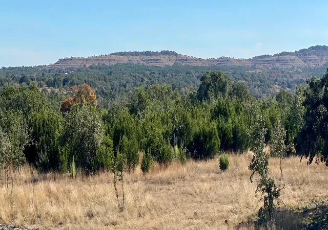 2nd image of Lot 94 E Dripping View Ct, Johnson City, TX 78636 | MLS# 6605088