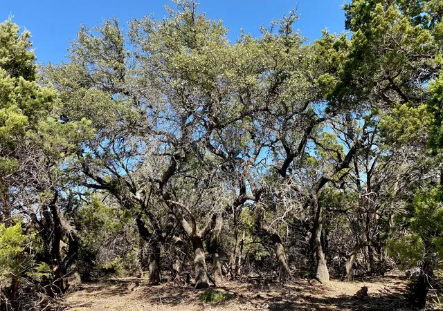 6th image of Lot 94 E Dripping View Ct, Johnson City, TX 78636 | MLS# 6605088