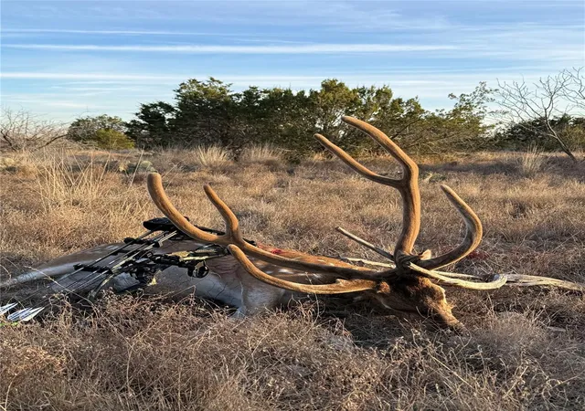 Land for sale at 0 Sutton County Rd 406, Sonora, TX 76950 | MLS# 6398491