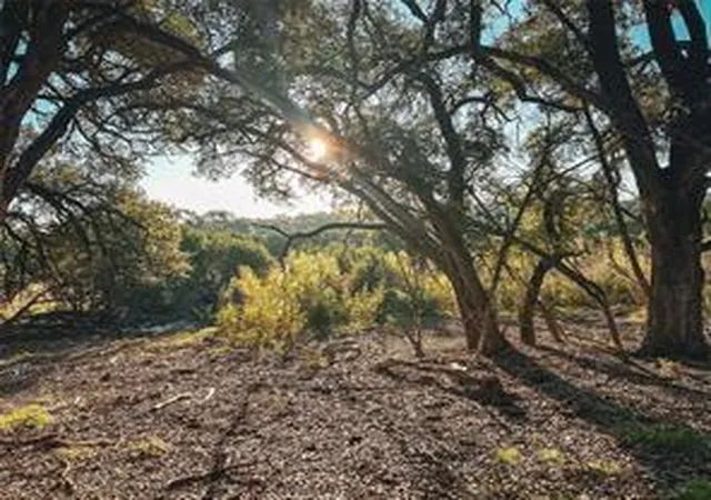 Photo 3 of Land for sale at Lot 7 Rifle Ridge, Burnet, TX 78611 | MLS# 1105397 | Listing updated on 2026-08-20