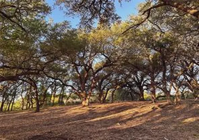 Photo 3 of Land for sale at Lot 7 Rifle Ridge, Burnet, TX 78611 | MLS# 1105397 | Listing updated on 2026-08-20