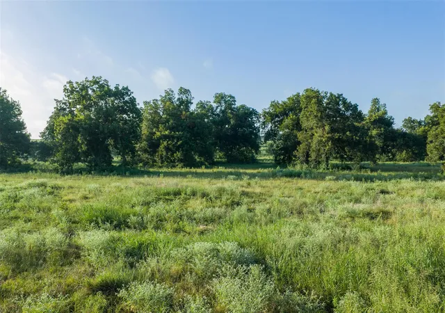 1st image of Tbd Lcr 721, Thornton, TX 76653 | MLS# 5259448