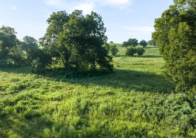 2nd image of Tbd Lcr 721, Thornton, TX 76653 | MLS# 5259448