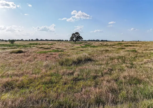 12th image of 2171 E Hwy 237, Round Top, TX 78954 | MLS# 6191520