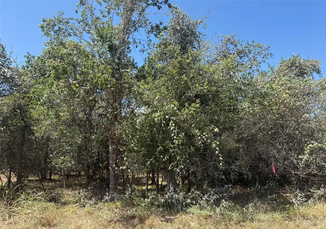 Photo 1 of Land for sale at Tbd Kawainui Ln, Bastrop, TX 78602 | MLS# 7187798 | Listing updated on 2026-08-21