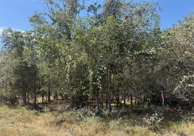 Photo 3 of Land for sale at Tbd Kawainui Ln, Bastrop, TX 78602 | MLS# 7187798 | Listing updated on 2026-08-21