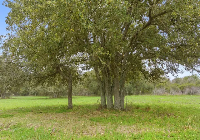 2nd image of Lot 2 County Road 123, Edna, TX 77957 | MLS# 5432767