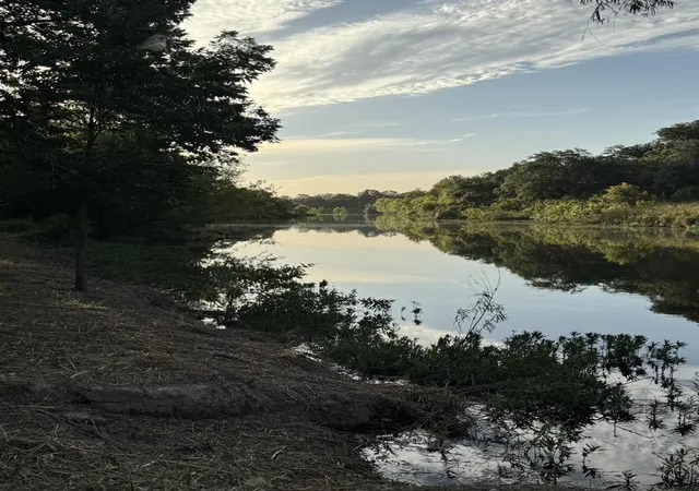 1st image of 3764 Ranch Road 1623, Blanco, TX 78606 | MLS# 5502887