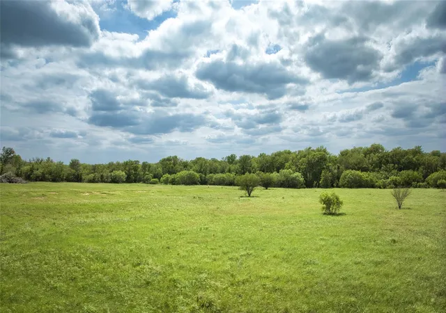 14th image of 9296 Fm 713, Dale, TX 78616 | MLS# 9868430