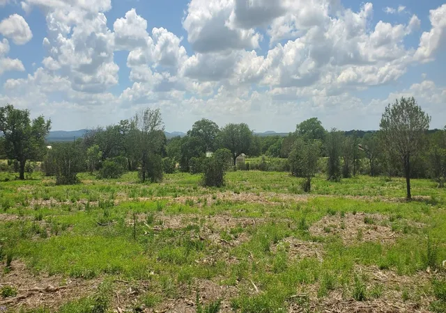 4th image of Tract 6 Lehne Loop, Buchanan Dam, TX 78609 | MLS# 3306275