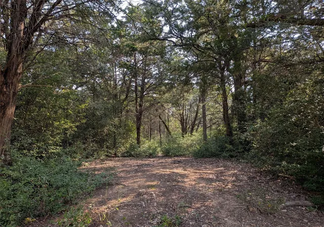 Photo 4 of Land for sale at Tbd Private Rd 7039, Lexington, TX 78947 | MLS# 7064048 | Listing updated on 2026-09-05