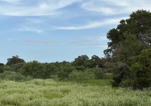 image of Lot #1 Willis Ln Ln, Smithville, TX 78957 | MLS# 3491606