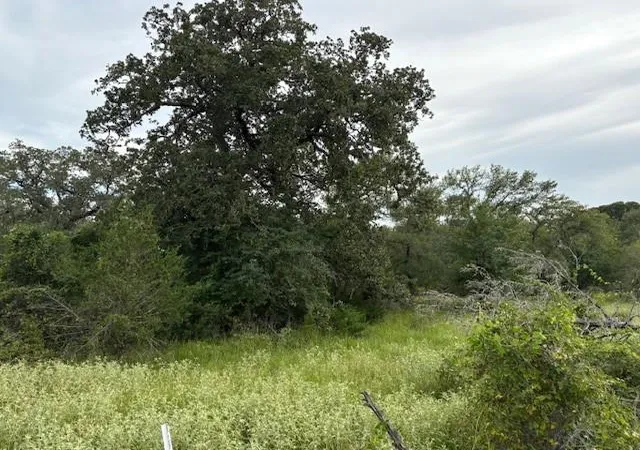image of Lot #1 Willis Ln Ln, Smithville, TX 78957 | MLS# 3491606
