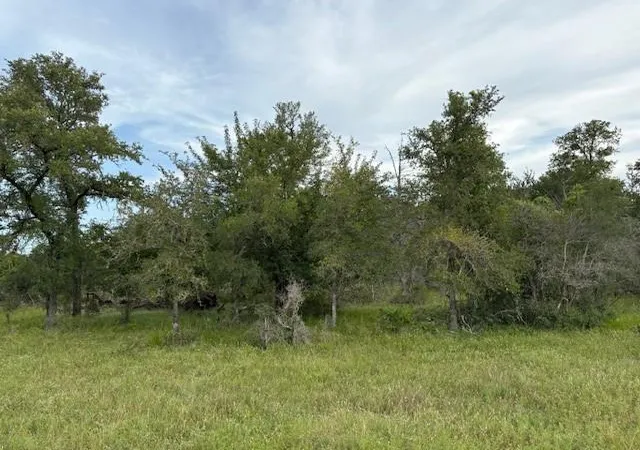 image of Lot #1 Willis Ln Ln, Smithville, TX 78957 | MLS# 3491606
