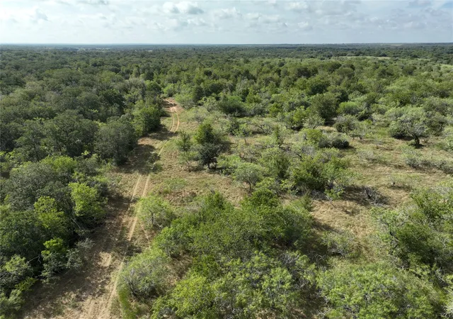 7th image of Tbd Lot 2 Cr 424 Rd, Waelder, TX 78629 | MLS# 6571749