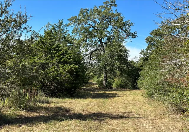 1st image of 105 Colony Line Trl, Dale, TX 78616 | MLS# 3162835