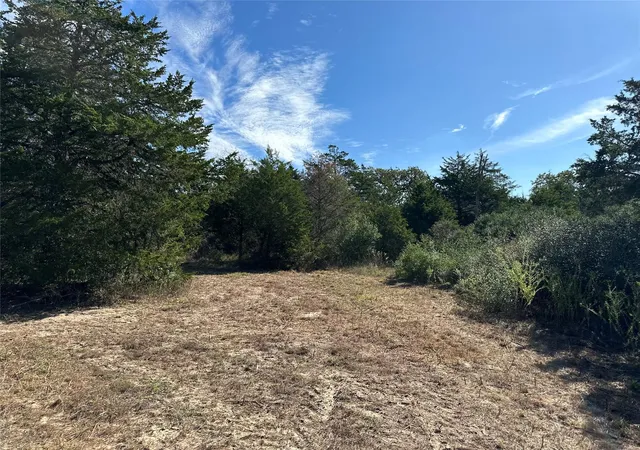 14th image of 105 Colony Line Trl, Dale, TX 78616 | MLS# 3162835