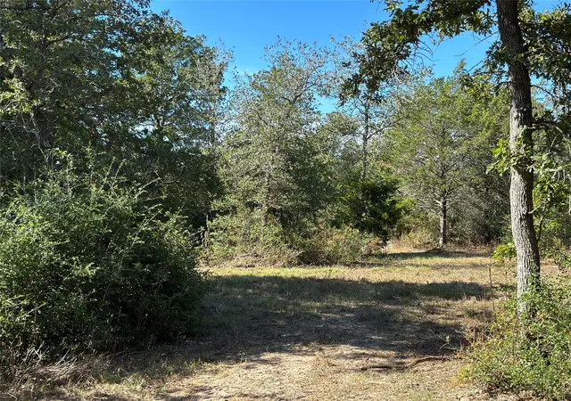 2nd image of 105 Colony Line Trl, Dale, TX 78616 | MLS# 3162835