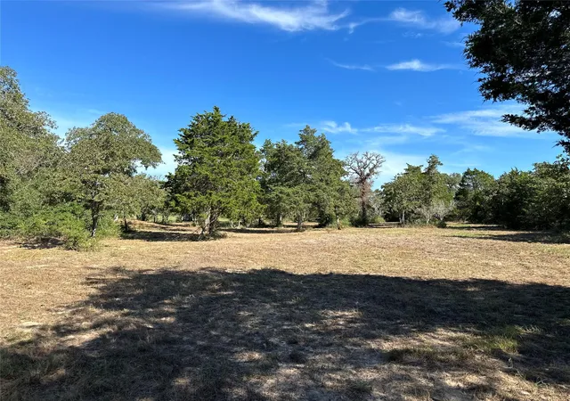 5th image of 105 Colony Line Trl, Dale, TX 78616 | MLS# 3162835