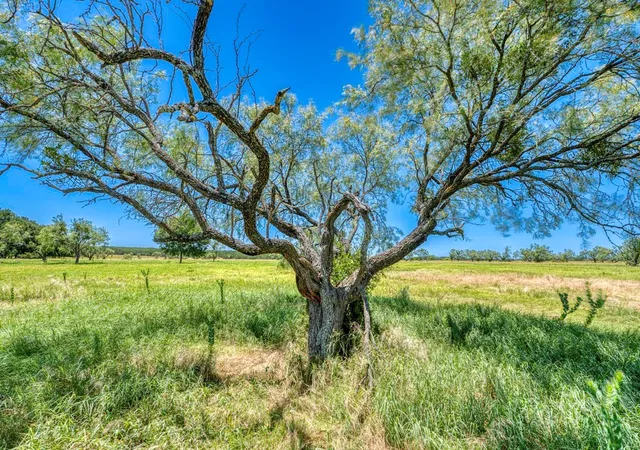 Photo 10 of Land for sale at Tbd County Rd 2200, Lampasas, TX 76550 | MLS# 6121323 | Listing updated on 2026-09-05