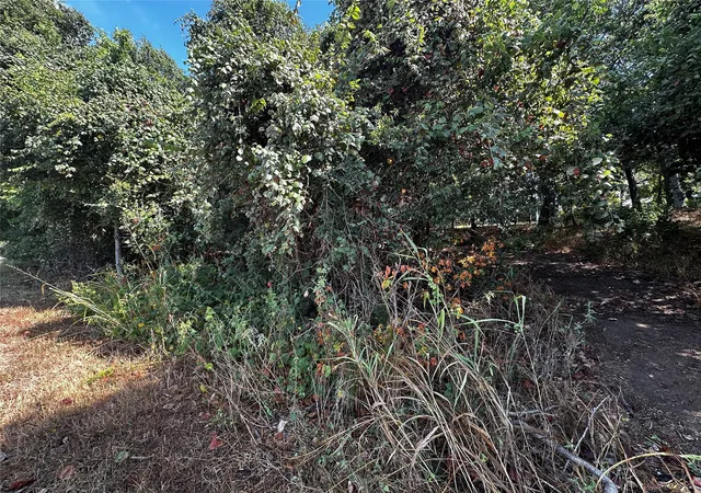 Photo 4 of Land for sale at 392 Riverside Dr, Bastrop, TX 78602 | MLS# 6160468 | Listing updated on 2026-08-30