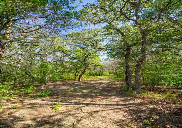 Photo 2 of House for sale at 1247 Sand Hills Road, Rosanky, TX 78953 | MLS# 6944315 | Listing updated on 2026-10-05