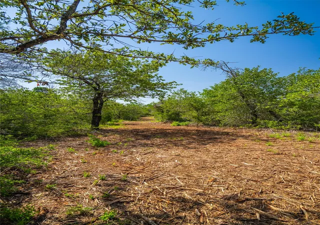Photo 3 of House for sale at 1247 Sand Hills Road, Rosanky, TX 78953 | MLS# 6944315 | Listing updated on 2026-10-05