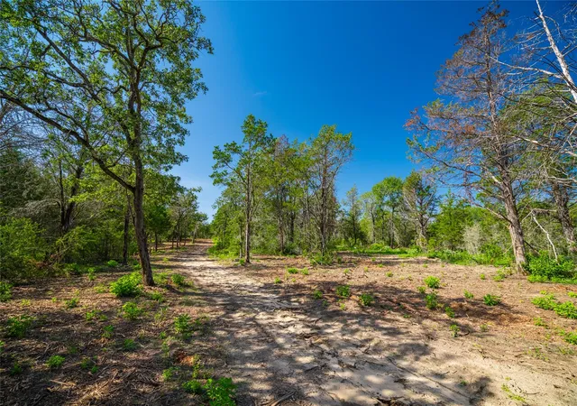 Photo 4 of House for sale at 1247 Sand Hills Road, Rosanky, TX 78953 | MLS# 6944315 | Listing updated on 2026-10-05