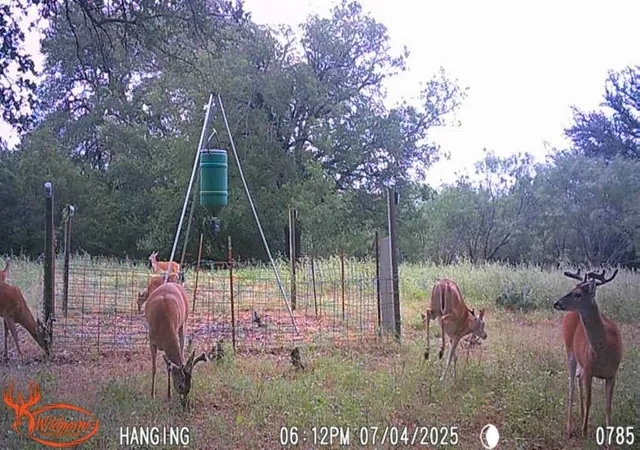 1st image of Tbd Fm 3023, Goldthwaite, TX 76844 | MLS# 8017277